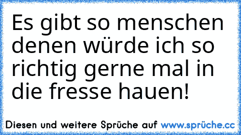 Es gibt so menschen denen würde ich so richtig gerne mal in die fresse hauen!