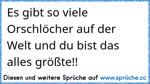 Es gibt so viele Orschlöcher auf der Welt und du bist das alles größte!!