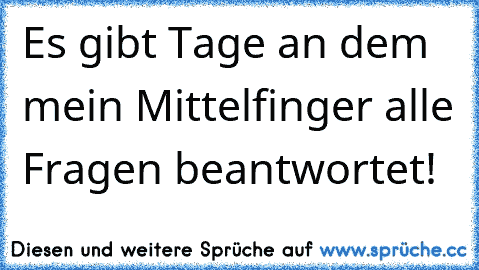 Es gibt Tage an dem mein Mittelfinger alle Fragen beantwortet!