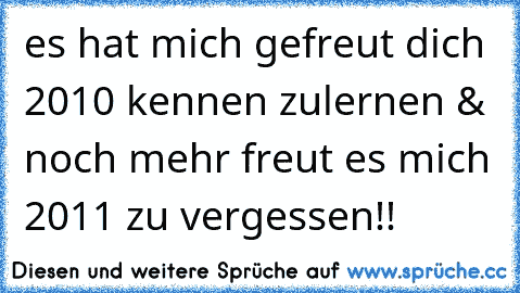 es hat mich gefreut dich 2010 kennen zulernen & noch mehr freut es mich 2011 zu vergessen!!