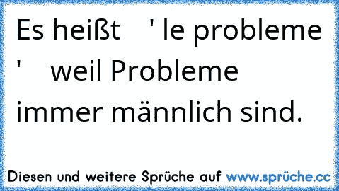 Es heißt    ' le probleme '    weil Probleme immer männlich sind.