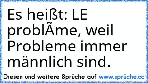 Es heißt: LE problème, weil Probleme immer männlich sind.