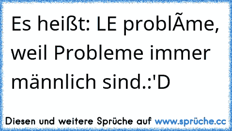 Es heißt: LE problème, weil Probleme immer männlich sind.:'D