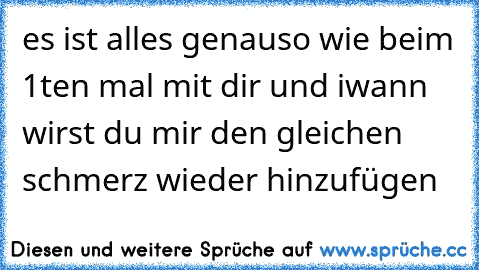 es ist alles genauso wie beim 1ten mal mit dir und iwann wirst du mir den gleichen schmerz wieder hinzufügen