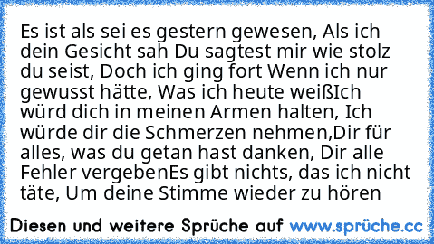 Es ist als sei es gestern gewesen, Als ich dein Gesicht sah Du sagtest mir wie stolz du seist, Doch ich ging fort Wenn ich nur gewusst hätte, Was ich heute weiß
Ich würd dich in meinen Armen halten, Ich würde dir die Schmerzen nehmen,
Dir für alles, was du getan hast danken, Dir alle Fehler vergeben
Es gibt nichts, das ich nicht täte, Um deine Stimme wieder zu hören