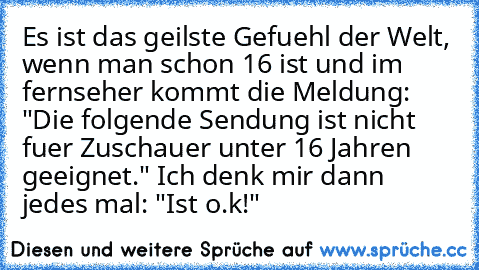 Es ist das geilste Gefuehl der Welt, wenn man schon 16 ist und im fernseher kommt die Meldung: "Die folgende Sendung ist nicht fuer Zuschauer unter 16 Jahren geeignet." Ich denk mir dann jedes mal: "Ist o.k!"