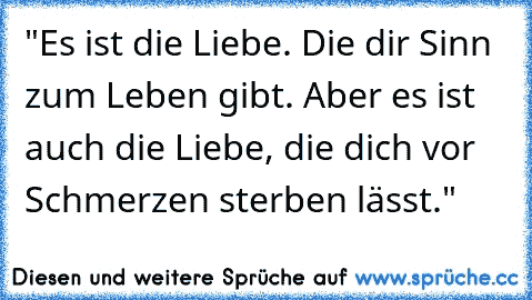 "Es ist die Liebe. Die dir Sinn zum Leben gibt. Aber es ist auch die Liebe, die dich vor Schmerzen sterben lässt."