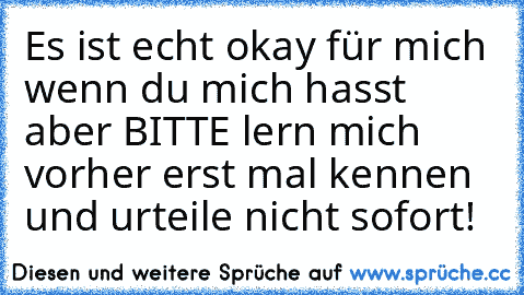 Es ist echt okay für mich wenn du mich hasst aber BITTE lern mich vorher erst mal kennen und urteile nicht sofort!