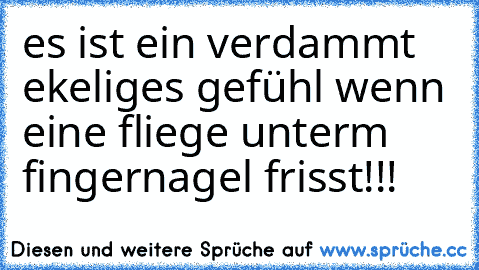 es ist ein verdammt ekeliges gefühl wenn eine fliege unterm fingernagel frisst!!!