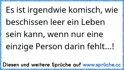 Es ist irgendwie komisch, wie beschissen leer ein Leben sein kann, wenn nur eine einzige Person darin fehlt...!  ♥