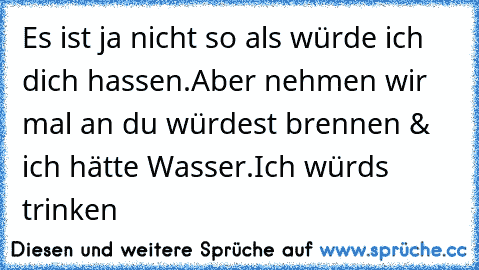 Es ist ja nicht so als würde ich dich hassen.Aber nehmen wir mal an du würdest brennen & ich hätte Wasser.Ich würds trinken