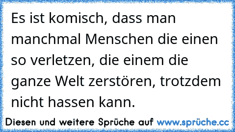 Es ist komisch, dass man manchmal Menschen die einen so verletzen, die einem die ganze Welt zerstören, trotzdem nicht hassen kann.