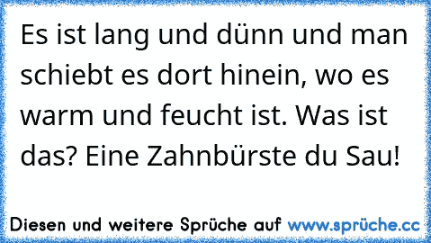 Es ist lang und dünn und man schiebt es dort hinein, wo es warm und feucht ist. Was ist das? Eine Zahnbürste du Sau!