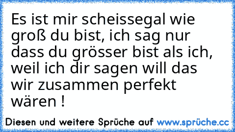 Es ist mir scheissegal wie groß du bist, ich sag nur dass du grösser bist als ich, weil ich dir sagen will das wir zusammen perfekt wären !♥