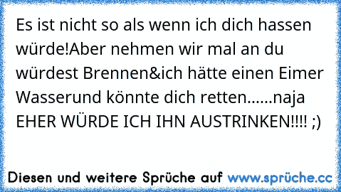 Es ist nicht so als wenn ich dich hassen würde!
Aber nehmen wir mal an du würdest Brennen&ich hätte einen Eimer Wasser
und könnte dich retten...
...naja  
 EHER WÜRDE ICH IHN AUSTRINKEN!!!! ;)