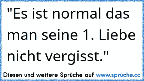 "Es ist normal das man seine 1. Liebe nicht vergisst."