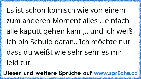 Es ist schon komisch wie von einem zum anderen Moment alles ...einfach alle kaputt gehen kann,.. und ich weiß ich bin Schuld daran.. Ich möchte nur dass du weißt wie sehr sehr es mir leid tut. 