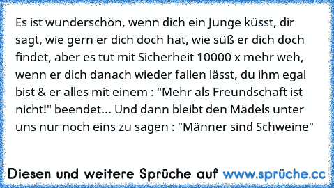 Es ist wunderschön, wenn dich ein Junge küsst, dir sagt, wie gern er dich doch hat, wie süß er dich doch findet, aber es tut mit Sicherheit 10000 x mehr weh, wenn er dich danach wieder fallen lässt, du ihm egal bist & er alles mit einem : "Mehr als Freundschaft ist nicht!" beendet... Und dann bleibt den Mädels unter uns nur noch eins zu sagen : "Männer sind Schweine"