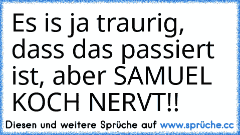 Es is ja traurig, dass das passiert ist, aber SAMUEL KOCH NERVT!!