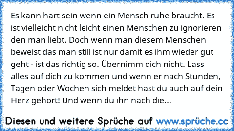 Es kann hart sein wenn ein Mensch ruhe braucht. Es ist vielleicht nicht leicht einen Menschen zu ignorieren den man liebt. Doch wenn man diesem Menschen beweist das man still ist nur damit es ihm wieder gut geht - ist das richtig so. Übernimm dich nicht. Lass alles auf dich zu kommen und wenn er nach Stunden, Tagen oder Wochen sich meldet hast du auch auf dein Herz gehört! Und wenn du ihn nach ...