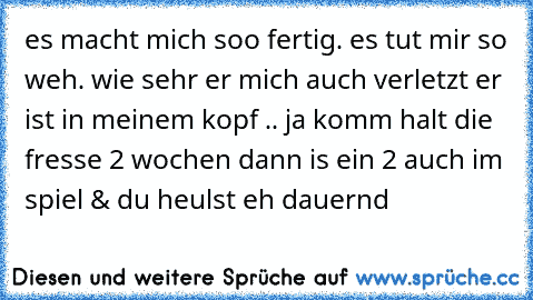 es macht mich soo fertig. es tut mir so weh. wie sehr er mich auch verletzt er ist in meinem kopf .. ja komm halt die fresse 2 wochen dann is ein 2 auch im spiel & du heulst eh dauernd