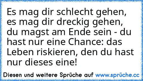 Es mag dir schlecht gehen, es mag dir dreckig gehen, du magst am Ende sein - du hast nur eine Chance: das Leben riskieren, den du hast nur dieses eine!