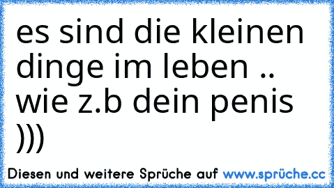 es sind die kleinen dinge im leben .. wie z.b dein penis )))