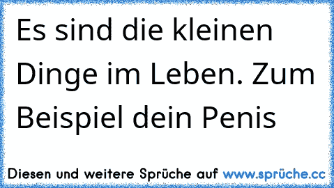 Es sind die kleinen Dinge im Leben. Zum Beispiel dein Penis