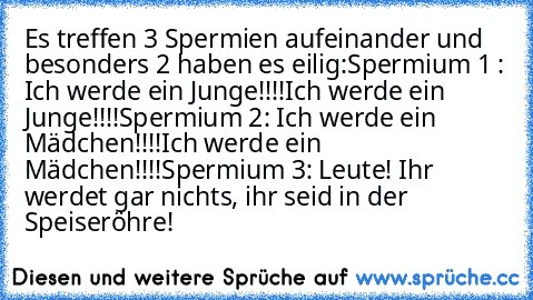 Es treffen 3 Spermien aufeinander und besonders 2 haben es eilig:
Spermium 1 : Ich werde ein Junge!!!!
Ich werde ein Junge!!!!
Spermium 2: Ich werde ein Mädchen!!!!
Ich werde ein Mädchen!!!!
Spermium 3: Leute! Ihr werdet gar nichts, ihr seid in der Speiseröhre!