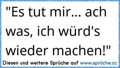 "Es tut mir... ach was, ich würd's wieder machen!"