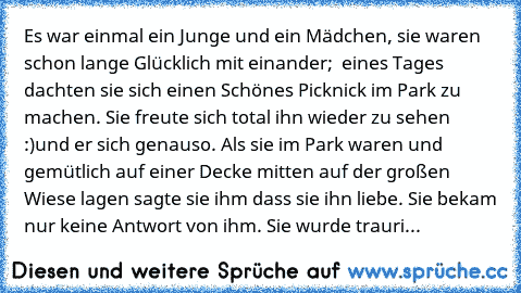 Es war einmal ein Junge und ein Mädchen, sie waren schon lange Glücklich mit einander;  eines Tages dachten sie sich einen Schönes Picknick im Park zu machen. Sie freute sich total ihn wieder zu sehen :)und er sich genauso. Als sie im Park waren und gemütlich auf einer Decke mitten auf der großen Wiese lagen sagte sie ihm dass sie ihn liebe. Sie bekam nur keine Antwort von ihm. Sie wurde trauri...