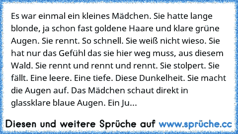 Es war einmal ein kleines Mädchen. Sie hatte lange blonde, ja schon fast goldene Haare und klare grüne Augen. Sie rennt. So schnell. Sie weiß nicht wieso. Sie hat nur das Gefühl das sie hier weg muss, aus diesem Wald. Sie rennt und rennt und rennt. Sie stolpert. Sie fällt. Eine leere. Eine tiefe. Diese Dunkelheit. Sie macht die Augen auf. Das Mädchen schaut direkt in glassklare blaue Augen. Ein Ju...