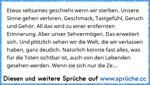 Etwas seltsames geschieht wenn wir sterben. Unsere Sinne gehen verloren. Geschmack, Tastgefühl, Geruch und Gehör. All das wird zu einer entfernten Erinnerung. Aber unser Sehvermögen. Das erweitert sich. Und plötzlich sehen wir die Welt, die wir verlassen haben, ganz deutlich. Natürlich könnte fast alles, was für die Toten sichtbar ist, auch von den Lebenden gesehen werden. Wenn sie sich nur die...