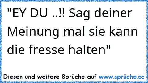 "EY DU ..!! Sag deiner Meinung mal sie kann die fresse halten"