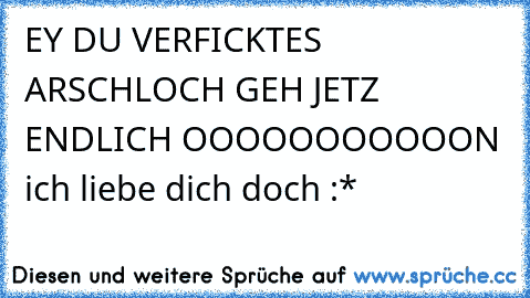 EY DU VERFICKTES ARSCHLOCH GEH JETZ ENDLICH OOOOOOOOOOON ich liebe dich doch :*