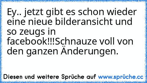 Ey.. jetzt gibt es schon wieder eine nieue bilderansicht und so zeugs in facebook!!!
Schnauze voll von den ganzen Änderungen.