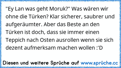 "Ey Lan was geht Moruk?" Was wären wir ohne die Türken? Klar sicherer, saubrer und aufgeräumter. Aber das Beste an den Türken ist doch, dass sie immer einen Teppich nach Osten ausrollen wenn sie sich dezent aufmerksam machen wollen :'D