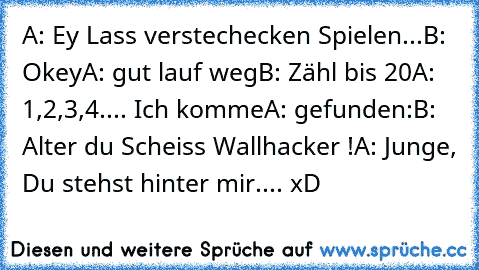 A: Ey Lass verstechecken Spielen...
B: Okey
A: gut lauf weg
B: Zähl bis 20
A: 1,2,3,4.... Ich komme
A: gefunden:
B: Alter du Scheiss Wallhacker !
A: Junge, Du stehst hinter mir.... 
xD