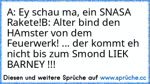 A: Ey schau ma, ein SNASA Rakete!
B: Alter bind den HAmster von dem Feuerwerk! ... der kommt eh nicht bis zum Smond 
LIEK BARNEY !!!