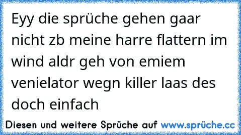 Eyy die sprüche gehen gaar nicht zb meine harre flattern im wind aldr geh von emiem venielator wegn killer laas des doch einfach