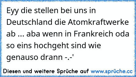 Eyy die stellen bei uns in Deutschland die Atomkraftwerke ab ... aba wenn in Frankreich oda so eins hochgeht sind wie genauso drann -.-'