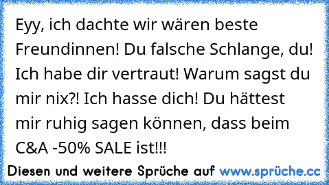 Eyy, ich dachte wir wären beste Freundinnen! Du falsche Schlange, du! Ich habe dir vertraut! Warum sagst du mir nix?! Ich hasse dich! Du hättest mir ruhig sagen können, dass beim C&A -50% SALE ist!!!