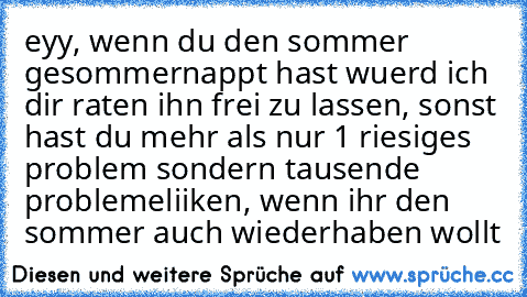 eyy, wenn du den sommer gesommernappt hast wuerd ich dir raten ihn frei zu lassen, sonst hast du mehr als nur 1 riesiges problem sondern tausende probleme
liiken, wenn ihr den sommer auch wiederhaben wollt