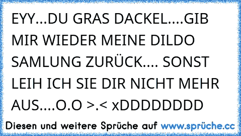 EYY...DU GRAS DACKEL....GIB MIR WIEDER MEINE DILDO SAMLUNG ZURÜCK.... SONST LEIH ICH SIE DIR NICHT MEHR AUS....O.O >.< xDDDDDDDD