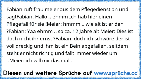 Fabian ruft frau meier aus dem Pflegedienst an und sagt
Fabian: Hallo .. ehmm Ich hab hier einen Pflegefall für sie !
Meier: hmmm .. wie alt ist er den ?
Fabian: Yaa ehmm .. so ca. 12 Jahre alt 
Meier: Dies ist doch nicht ihr ernst ?
Fabian: doch ich schwöre der ist voll dreckig und ihm ist ein Bein abgefallen, seitdem steht er nicht richtig und fällt immer wieder um ..
Meier: ich will mir das mal...