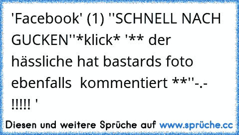 'Facebook' (1) 
''SCHNELL NACH GUCKEN''
*klick* 
'** der hässliche hat bastards foto ebenfalls  kommentiert **'
'-.- !!!!! '