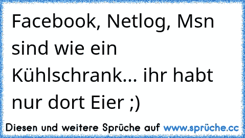 Facebook, Netlog, Msn sind wie ein Kühlschrank... ihr habt nur dort Eier ;)