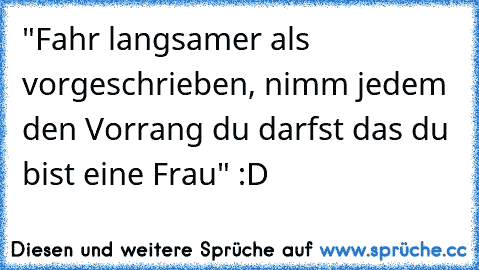 "Fahr langsamer als vorgeschrieben, nimm jedem den Vorrang du darfst das du bist eine Frau" :D