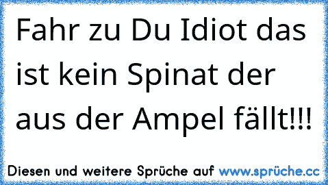 Fahr zu Du Idiot das ist kein Spinat der aus der Ampel fällt!!!