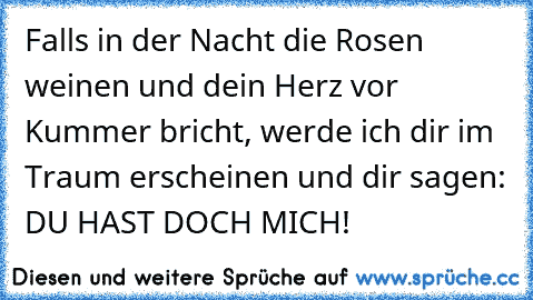 Falls in der Nacht die Rosen weinen und dein Herz vor Kummer bricht, werde ich dir im Traum erscheinen und dir sagen: DU HAST DOCH MICH!